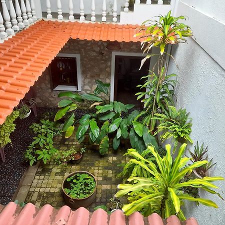 Shoba Traveller'S Tree Homes Stay 갈레 외부 사진