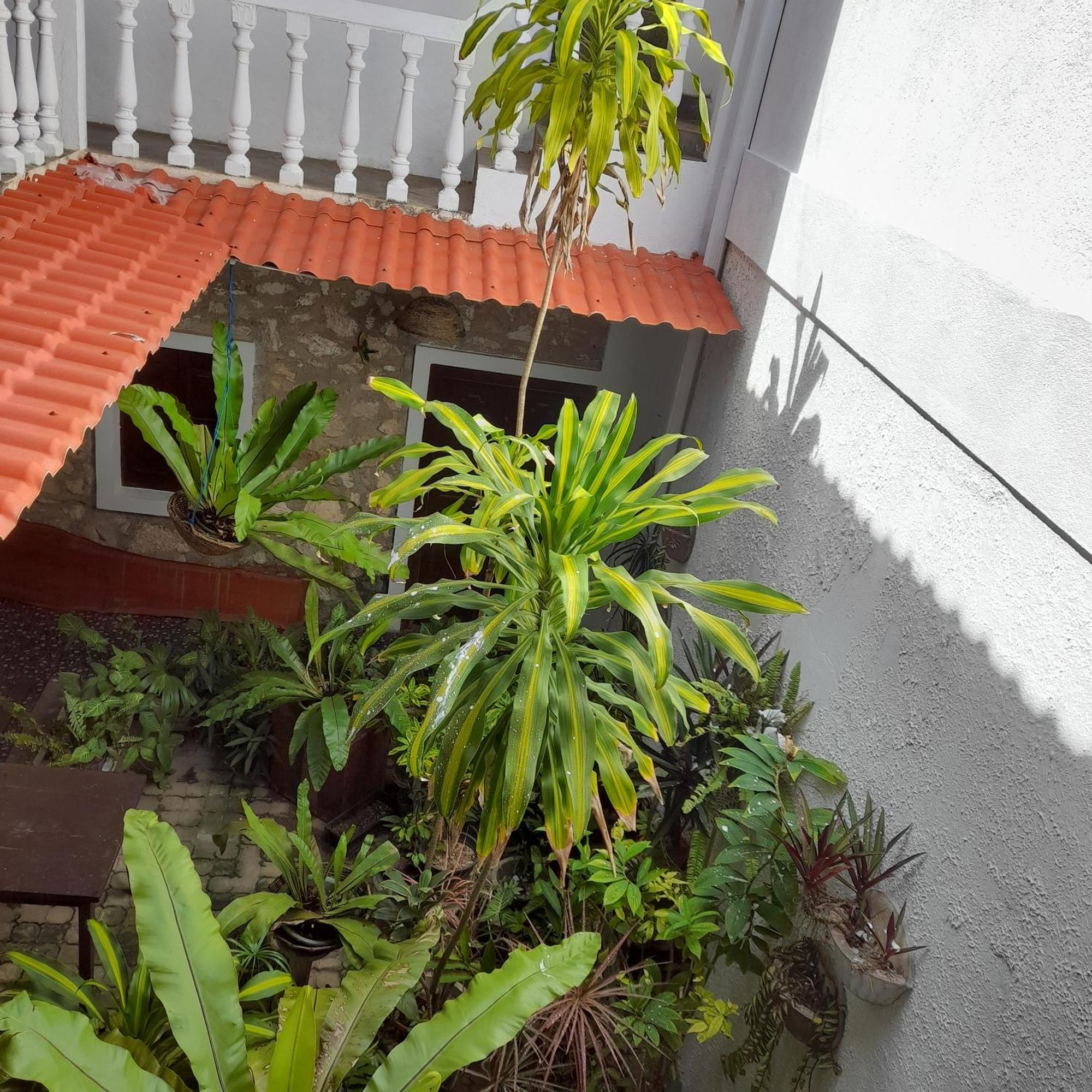 Shoba Traveller'S Tree Homes Stay 갈레 외부 사진