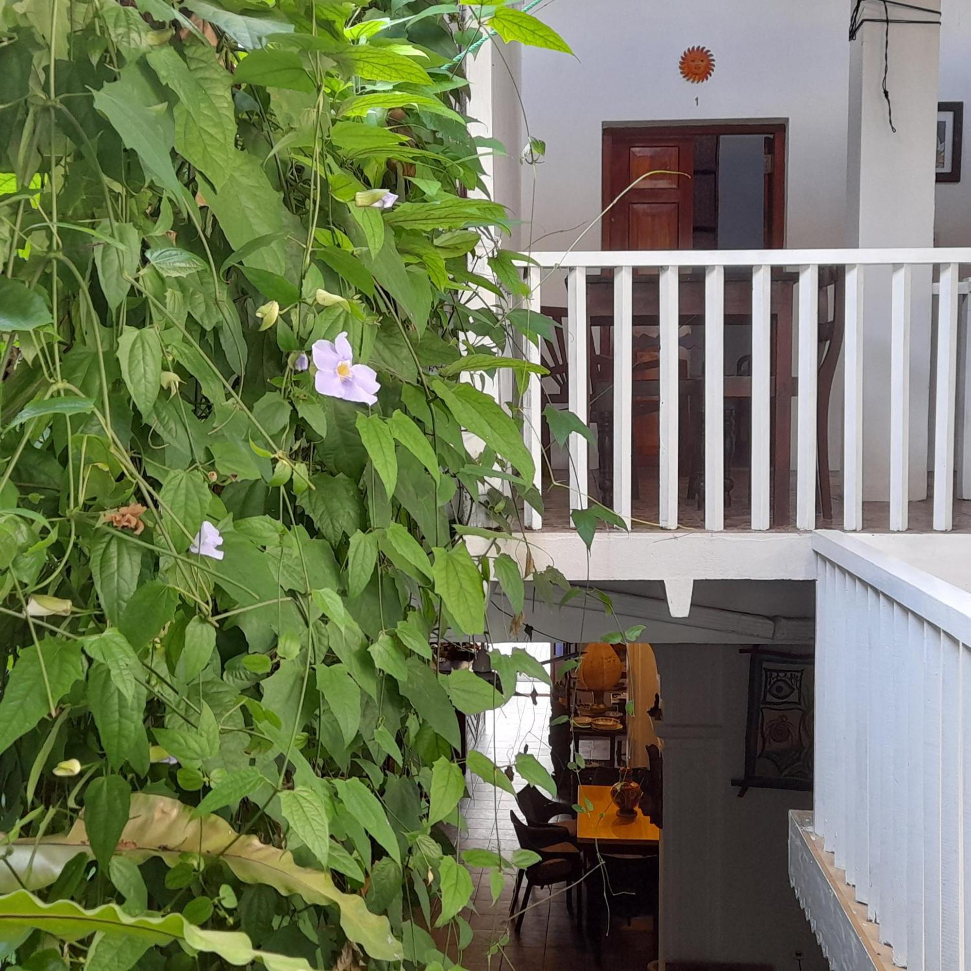 Shoba Traveller'S Tree Homes Stay 갈레 외부 사진